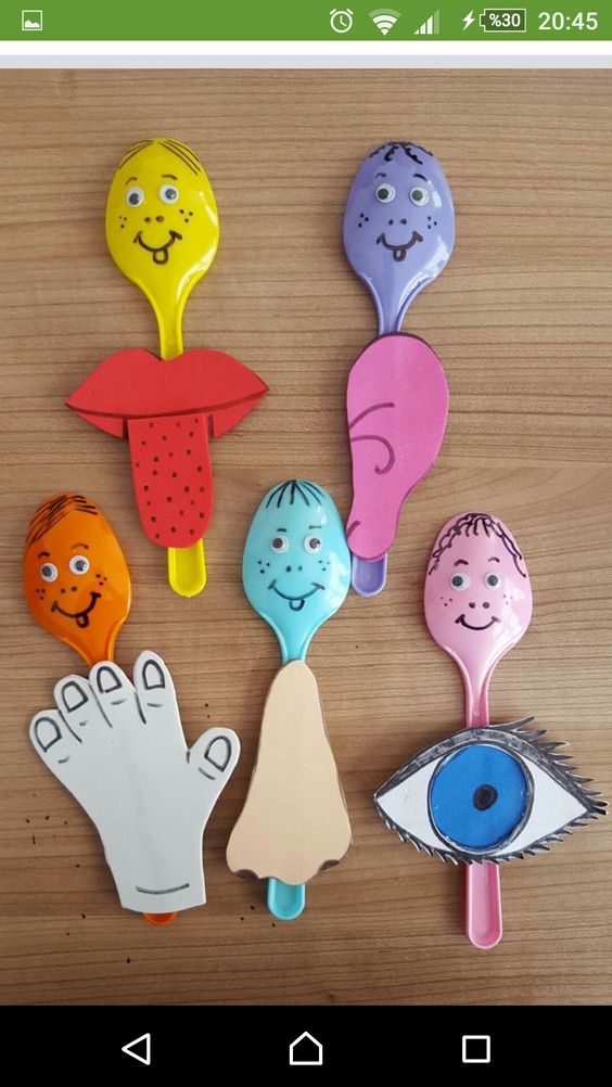 Eğlenceli Vücut Bölümleri Öğrenme Araçları: 6 Renkli Kaşık Figürü