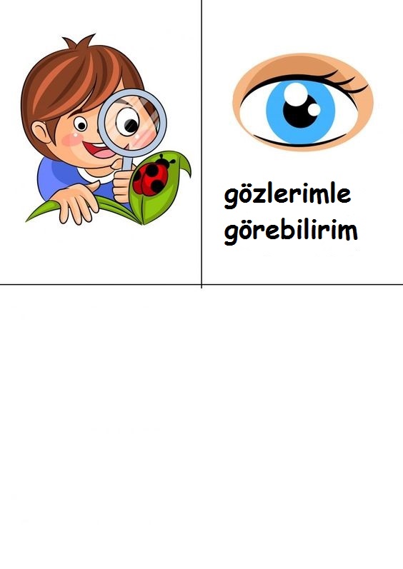 Gözlerimle Gözlem Yapıyorum: Çocukların Doğayı Keşfetmesi İçin Eğitim Materyali