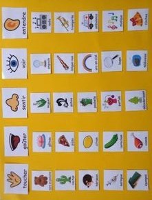 Duyular ve Algı Öğrenimi: Göz, Kulak, Burun, Dil, Cilt Üzerinden Algılama