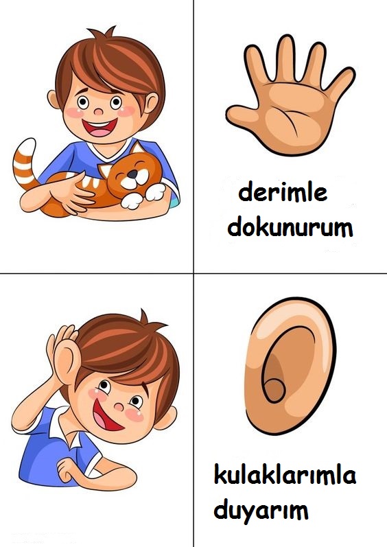 Hissedebilme Becerileri: Dokunma ve Duyma Eğitimi