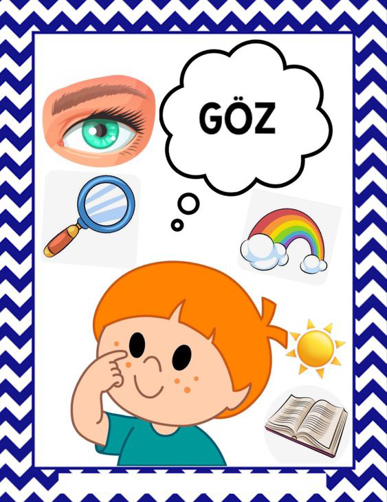 Göz Eğitimi: Görme Duyusu ve Renkler