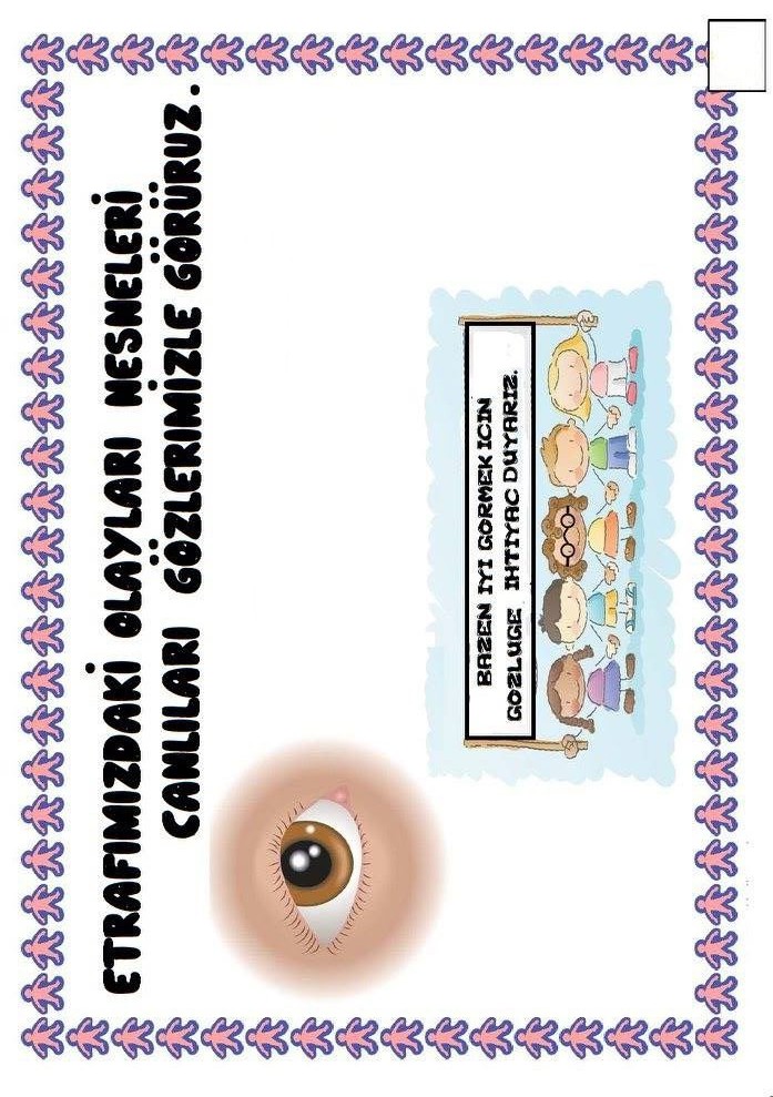 Etrafımızdaki Nesneleri Gözlemleme Eğitici Materyali