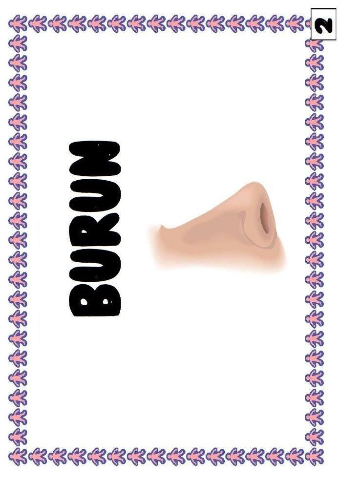 Burun İsimli Görsel Eğitim Materyali - 2