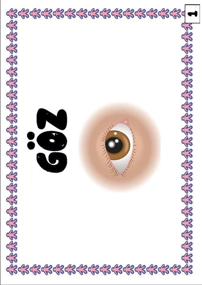 2023-GÖZ-İllüstrasyonu-Eğitsel-Materyal