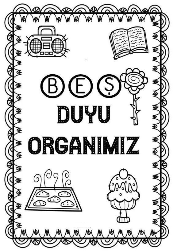 BEŞ DUYU ORGANIMIZ Eğitici Materyali