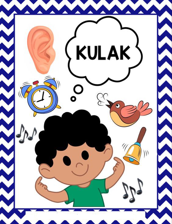 Kulak: İşitme, Sesler ve Duyular Temalı Eğitim Materyali