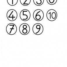 meşe palamutu ile sayı oyunu  (2).jpg
