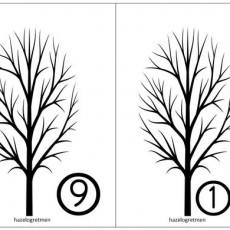 ağaça  sayı kadar yaprak ekleme oyun etkinliği  (1).jpg