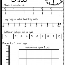 sayı çalışması (10).jpg