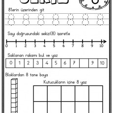 sayı çalışması (11).jpg