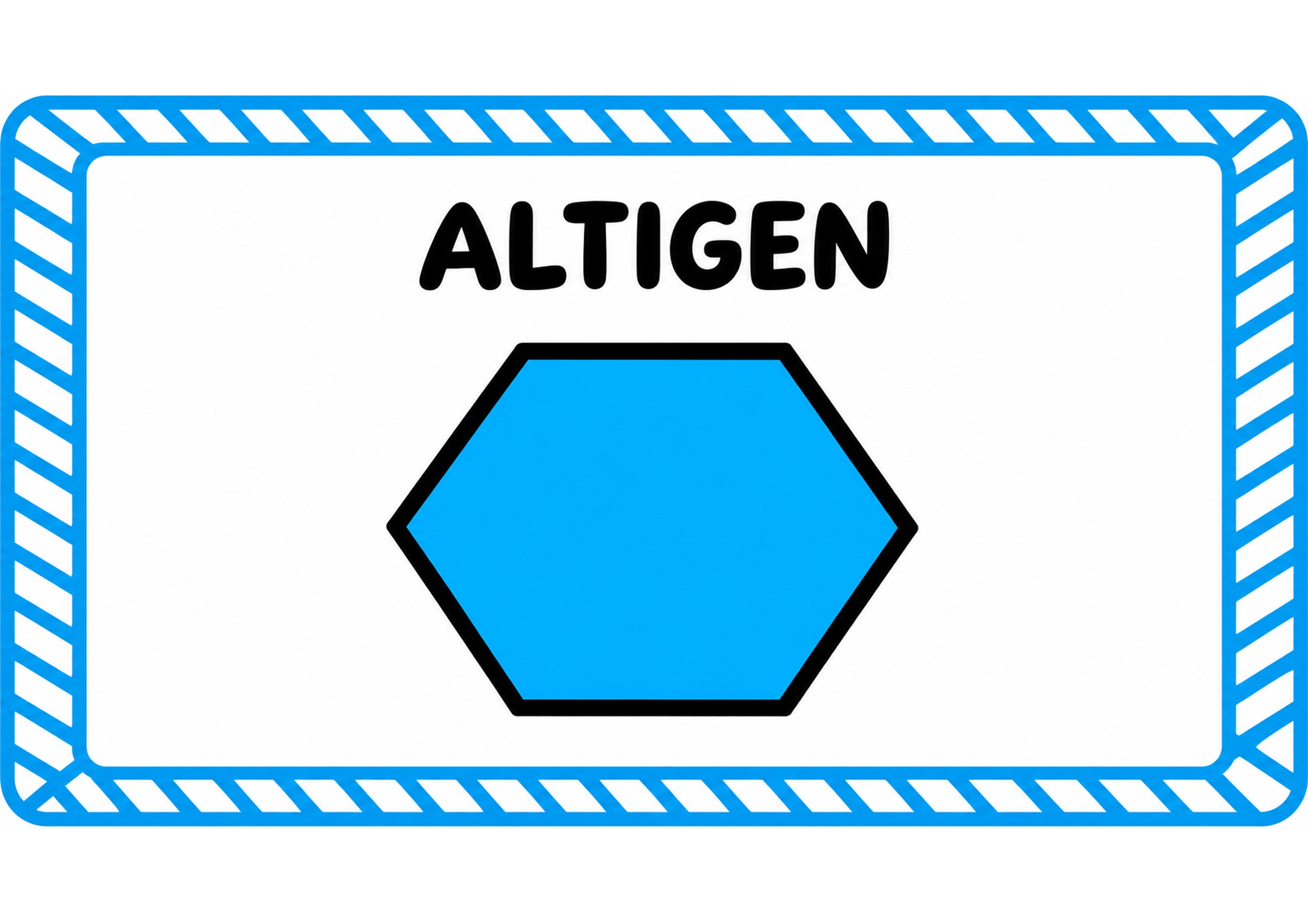 ALTIGEN - Altı Kenar Şekli Eğitimi