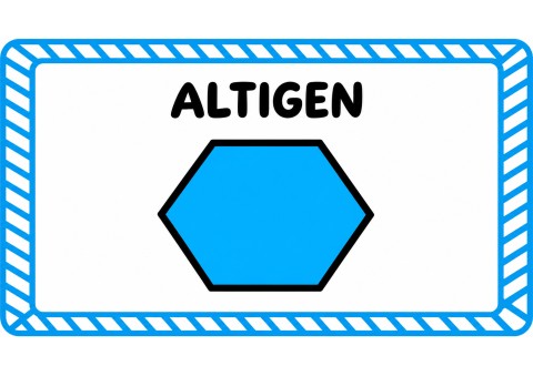 ALTIGEN - Altı Kenar Şekli Eğitimi