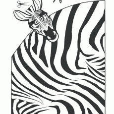 Zebra Kesim Etkinliği - Siyah Beyaz Şeritler ve Makas