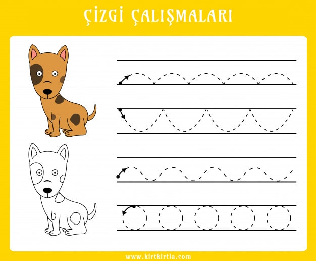 Çizgi Çalışmaları - Hayvanlar ve Öğrenme Aktiviteleri