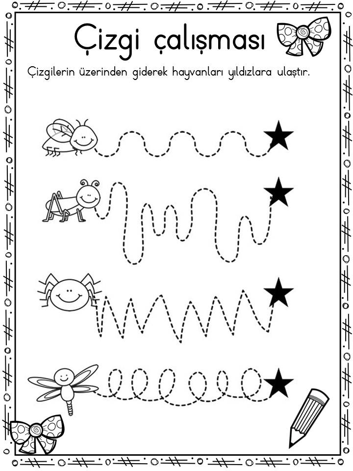 Çizgi Çalışması: Hayvanları Yıldızlara Ulaştırma Etkinliği
