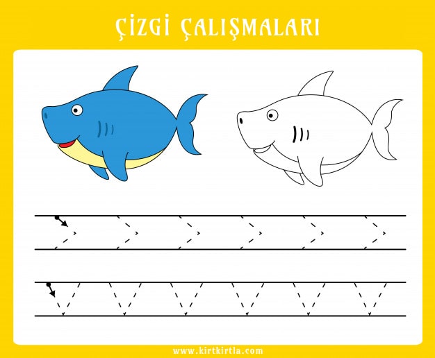 Çizgi Çalışmaları - Balina ve Köpekbalığı Çizim Alıştırmaları