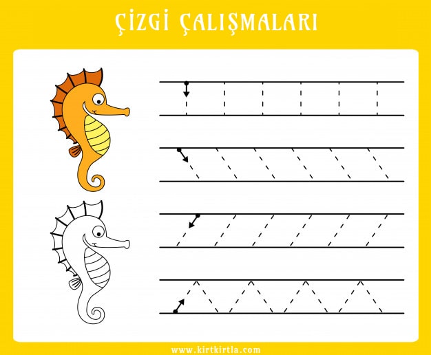 Çizgi Çalışmaları: Denizatı Temalı Yazma Alıştırmaları