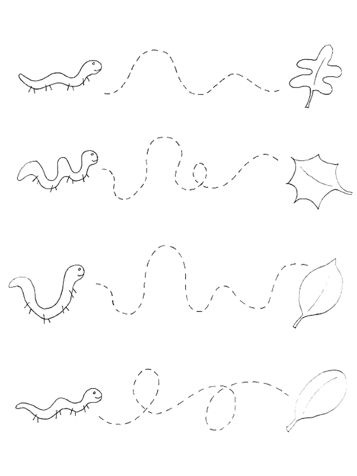 Worms and Leaves Tracing Activity for Children