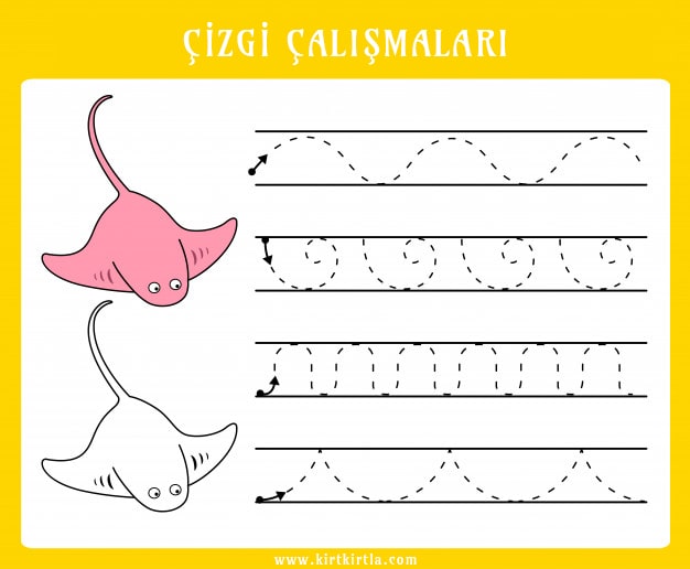 Çizgi Çalışmaları: Eğlenceli Hayvan Şekilleri ve Desenleri