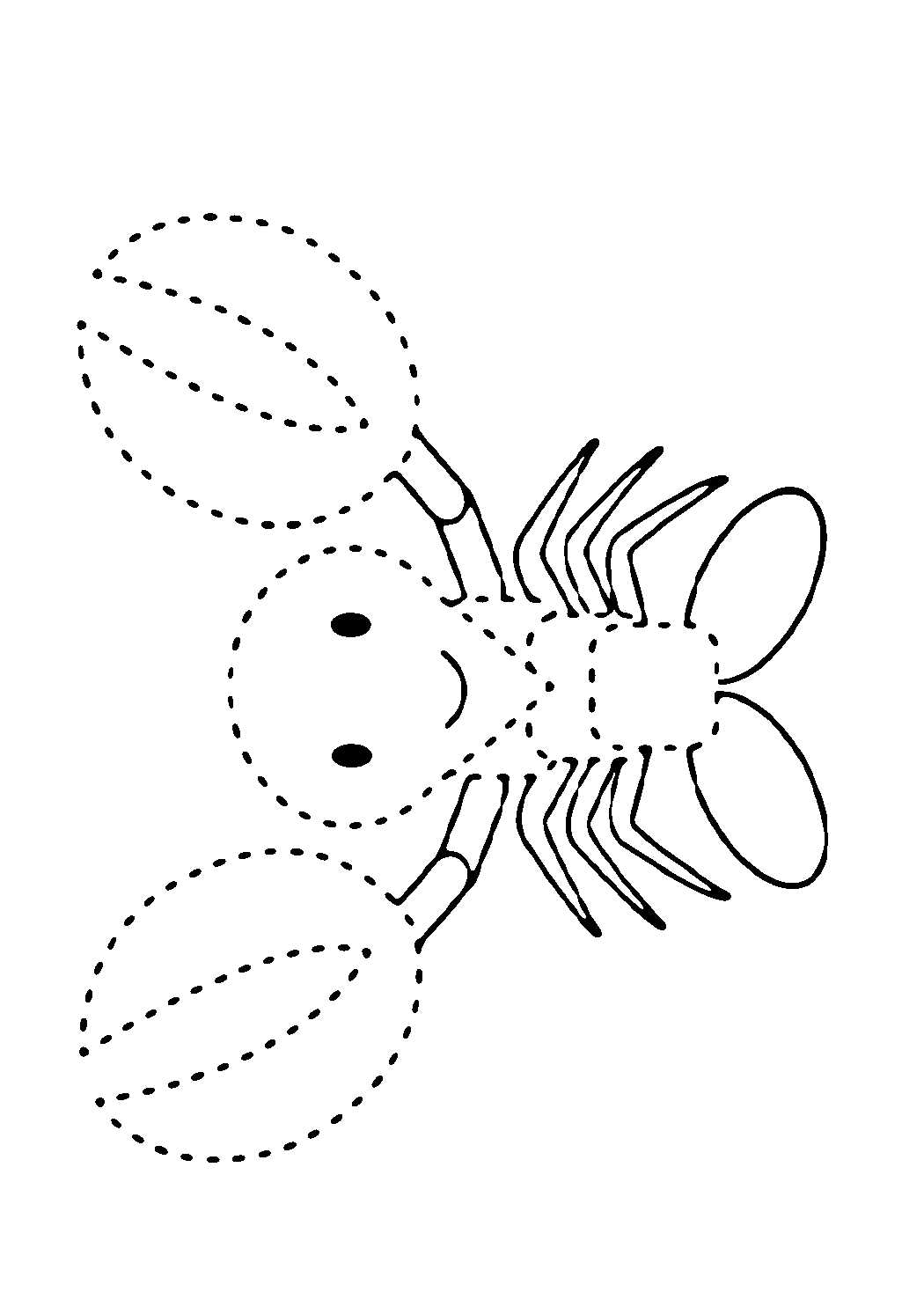 4-Kolları ile Eğlenceli Yengeç Çizimi Etkinliği / Fun Crab Drawing Activity with 4 Claws