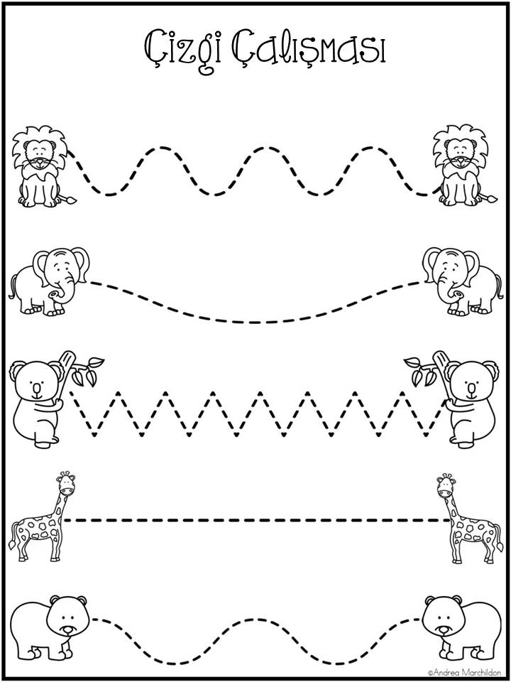 Hayvanlar ve Çizgi Çalışması - 5 Hayvan (BEAR, LION, ELEPHANT, KOALA, GIRAFFE)