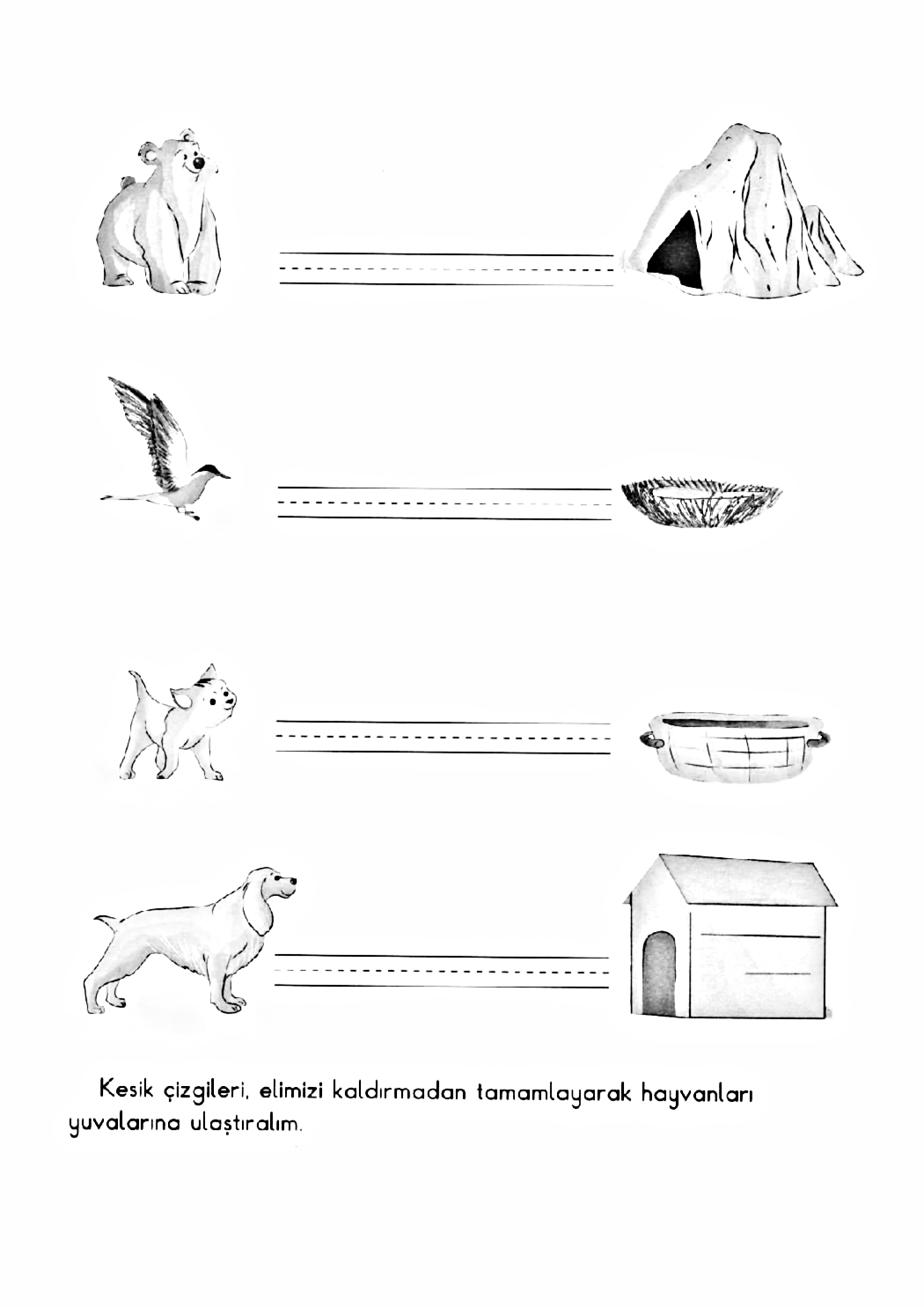 Hayvan Yuvalarını Tamamlama Etkinliği - Kutup Ayısı, Kuş, Köpek