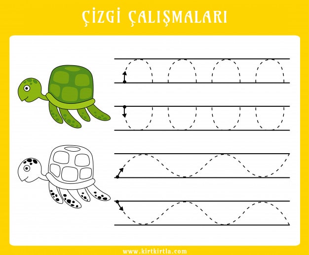 Çizgi Çalışmaları: Kaplumbağa Temalı Eğitsel Aktiviteler