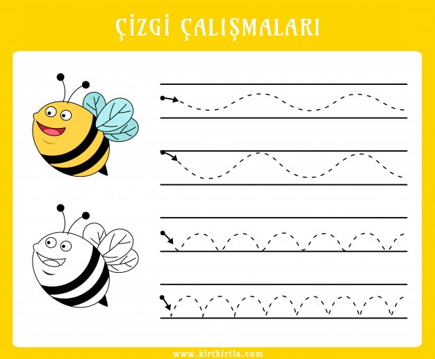 Eğitici Çizgi Çalışmaları: Arı Temalı Çizgi Çalışmaları için Aktivite Sayfası