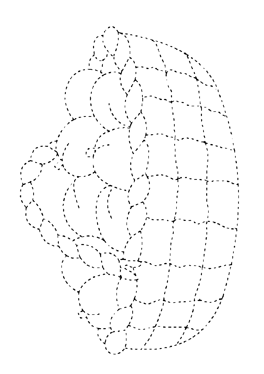 3D Geometric Shape Model - Spherical Geometry Representation