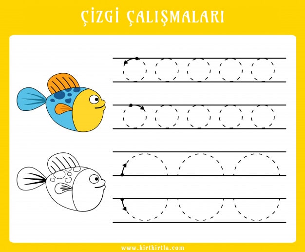 Çizgi Çalışmaları: Balık Temalı Kaligrafi Eğitimi