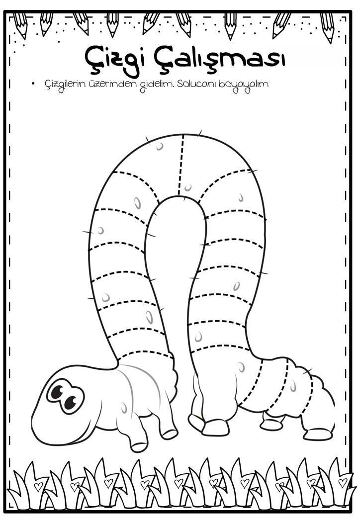Çizgi Çalışması - Solucan Boyama ve İzleme Etkinliği