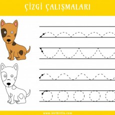 Çizgi Çalışmaları - Hayvanlar ve Öğrenme Aktiviteleri