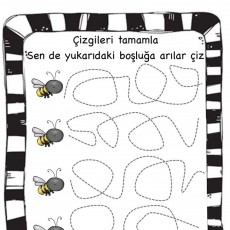 Arı Çizgi Tamamlama Etkinliği