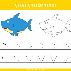 Çizgi Çalışmaları - Balina ve Köpekbalığı Çizim Alıştırmaları