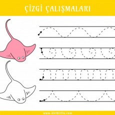 Çizgi Çalışmaları: Eğlenceli Hayvan Şekilleri ve Desenleri