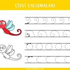 Çizgi Çalışmaları: Çocuklar için Eğitici El Yazısı Alıştırmaları ve Çizim Gelişimi