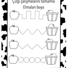 Çizgi Çalışmaları ve Elma Boyama Etkinliği: Anaokulu İçin Eğitsel Materyal
