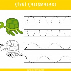 Çizgi Çalışmaları: Kaplumbağa Temalı Eğitsel Aktiviteler