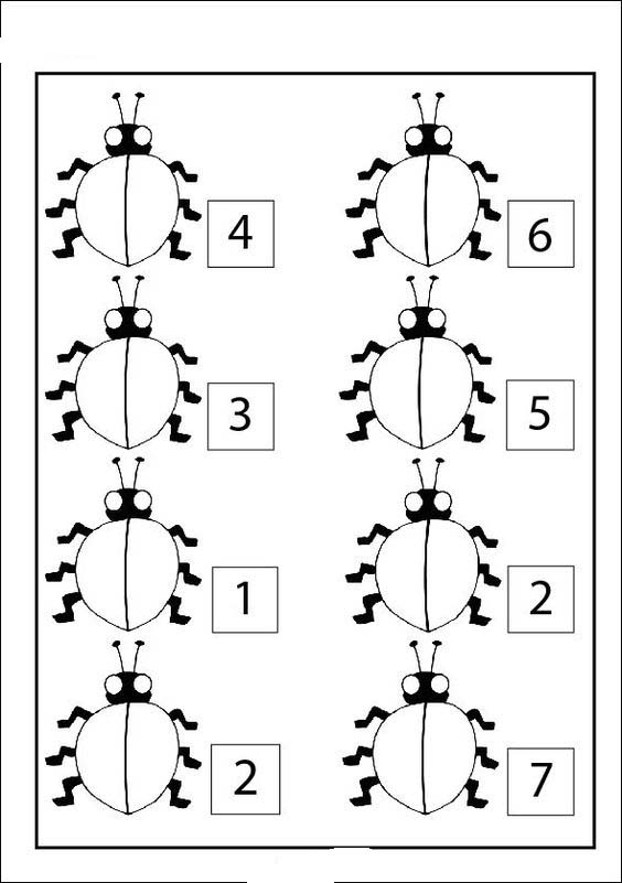 Sayılar ve Böcekler Bilmecesi: 1, 2, 3, 4, 5, 6, 7 - Eğitici Görsel Materyal