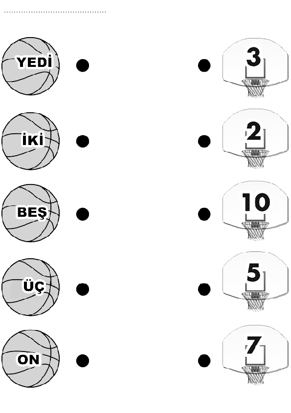 Basketbol Sayıları ve Yazılışı: 2, 3, 5, 7, 10, 12 Sayıları ile Sayıların Eğitim Materyali