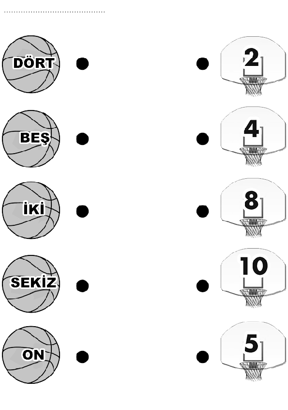 Basketbol Topları ile Rakam ve Sayıları Öğrenme: 2, 4, 5, 8, 10, 12, 4, 8, 10, 12 Eğitici Materyal