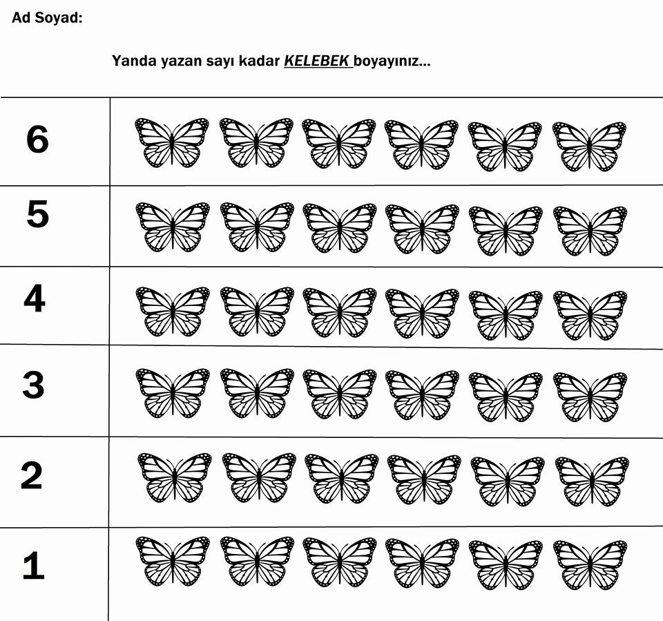 Kelevelerin Boyanması - 1'den 6'ya Kadar Sayılarla Kelebek Boyama Çalışması