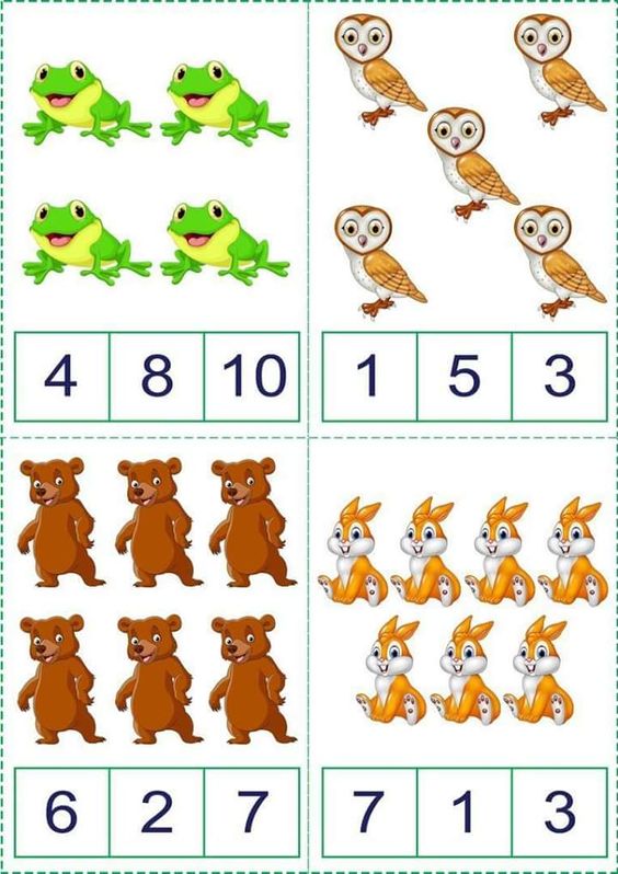 Hayvanlar ve Sayılar: Kurbağalar, Baykuşlar, Ayılar ve Tavşanlar ile 1-10 Arası Sayıları Öğrenme Materyali