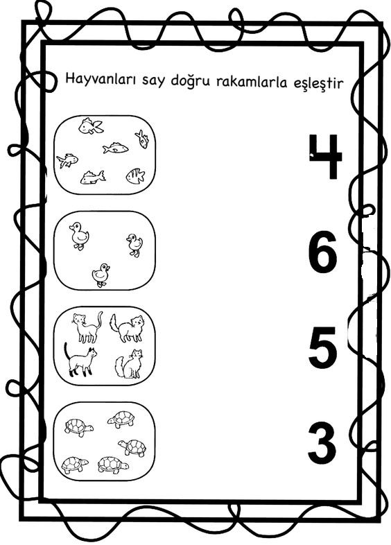 Hayvanları Sayma ve Eşleştirme Etkinliği - 4 Balık, 6 Fıstık Kuşu, 5 Kedi, 3 Kaplumbağa