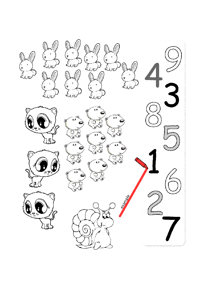 Rakam ve Hayvan Sayımı Etkinliği: 9 Tavşan, 6 Kediler, 1 Salyangoz, Sayılar 1, 2, 3, 4, 5, 6, 7, 8, 9