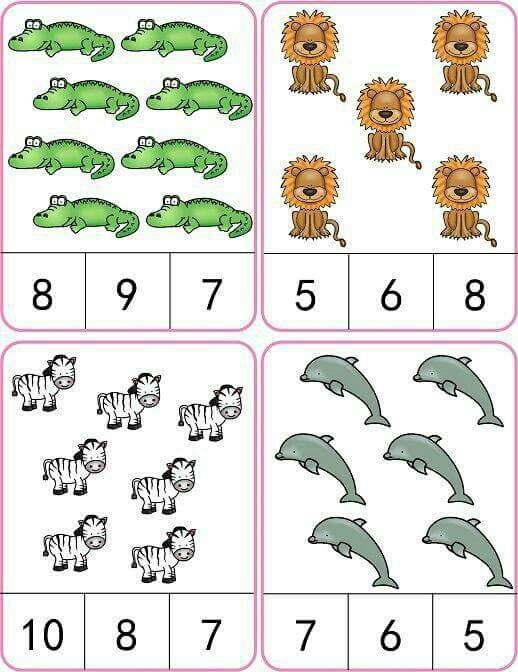 Hayvan Sayma Etkinliği: Krokodil (8), Aslan (5), Zebra (10), Yunus (7)