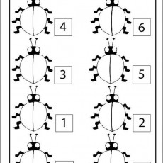 sayı eşleştirme  (11).jpg