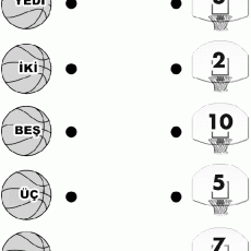 sayı eşleştirme  (22)