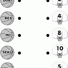 sayı eşleştirme  (40)