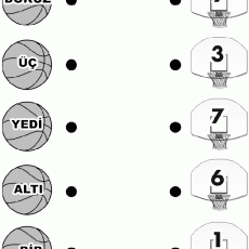 sayı eşleştirme  (38)